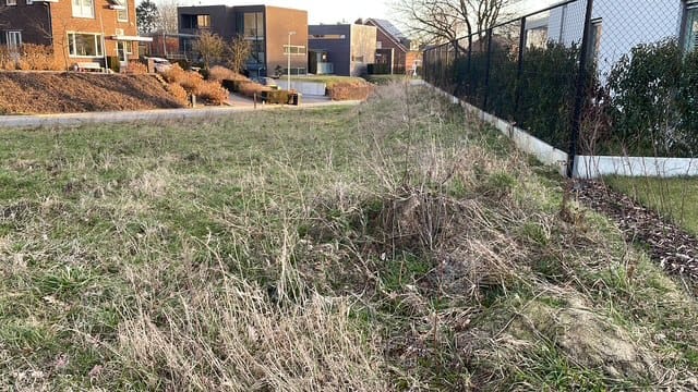 Photo 14 of Hoefblad 43