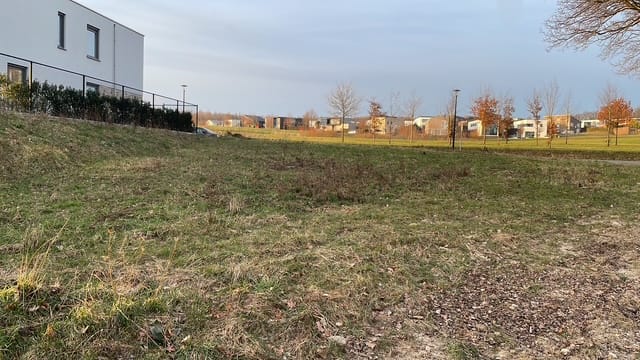 Foto 5 van Hoefblad 45