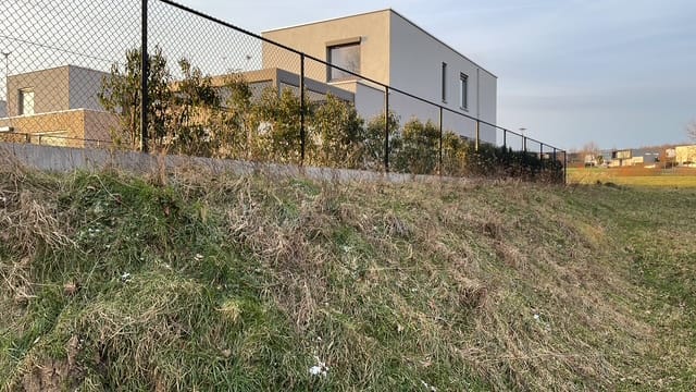 Foto 6 van Hoefblad 45