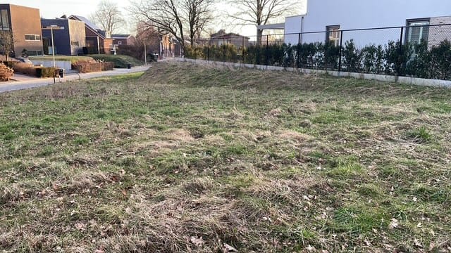 Foto 9 van Hoefblad 45