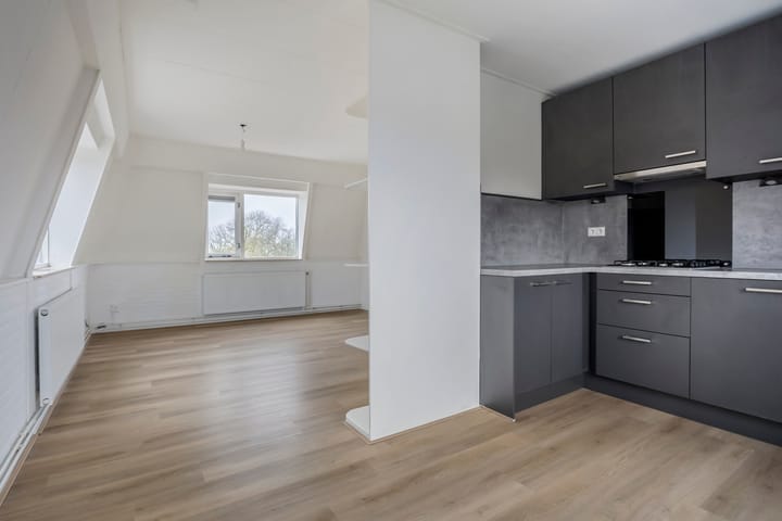 Foto 6 van Paddemoes 15