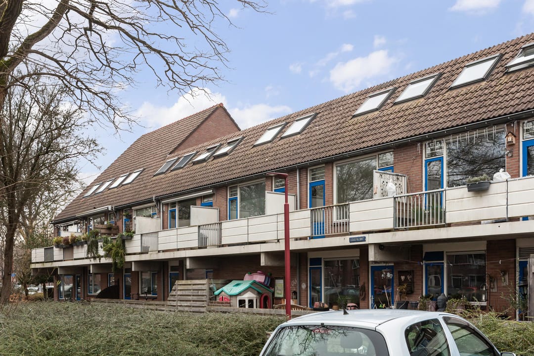 Foto 1 van Goudfazant 17