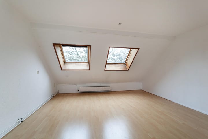 Foto 3 van Goudfazant 17