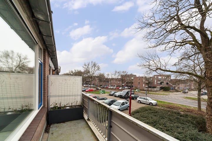 Foto 5 van Goudfazant 17