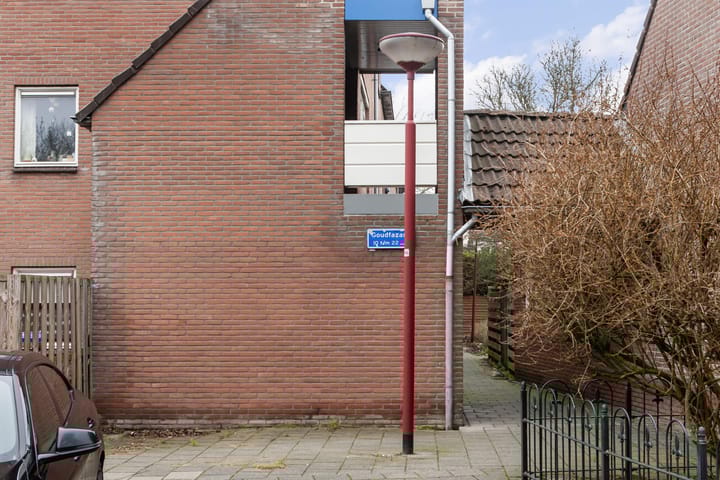 Foto 6 van Goudfazant 17