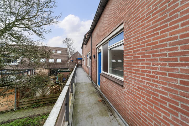 Foto 7 van Goudfazant 17