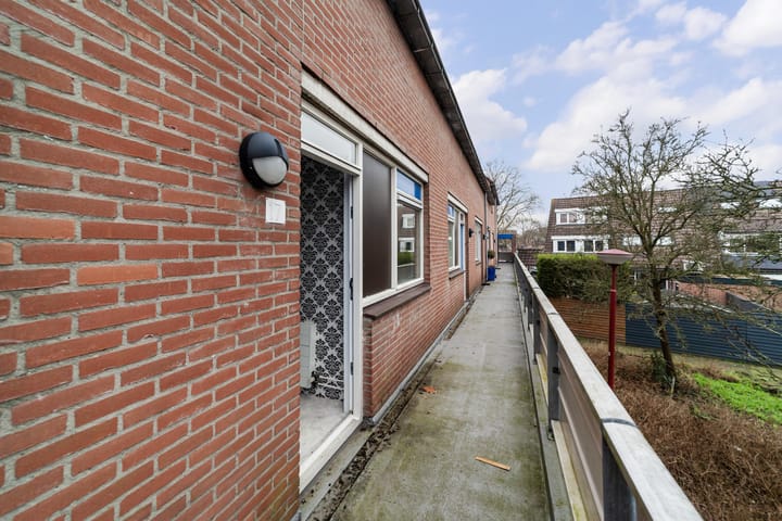 Foto 8 van Goudfazant 17