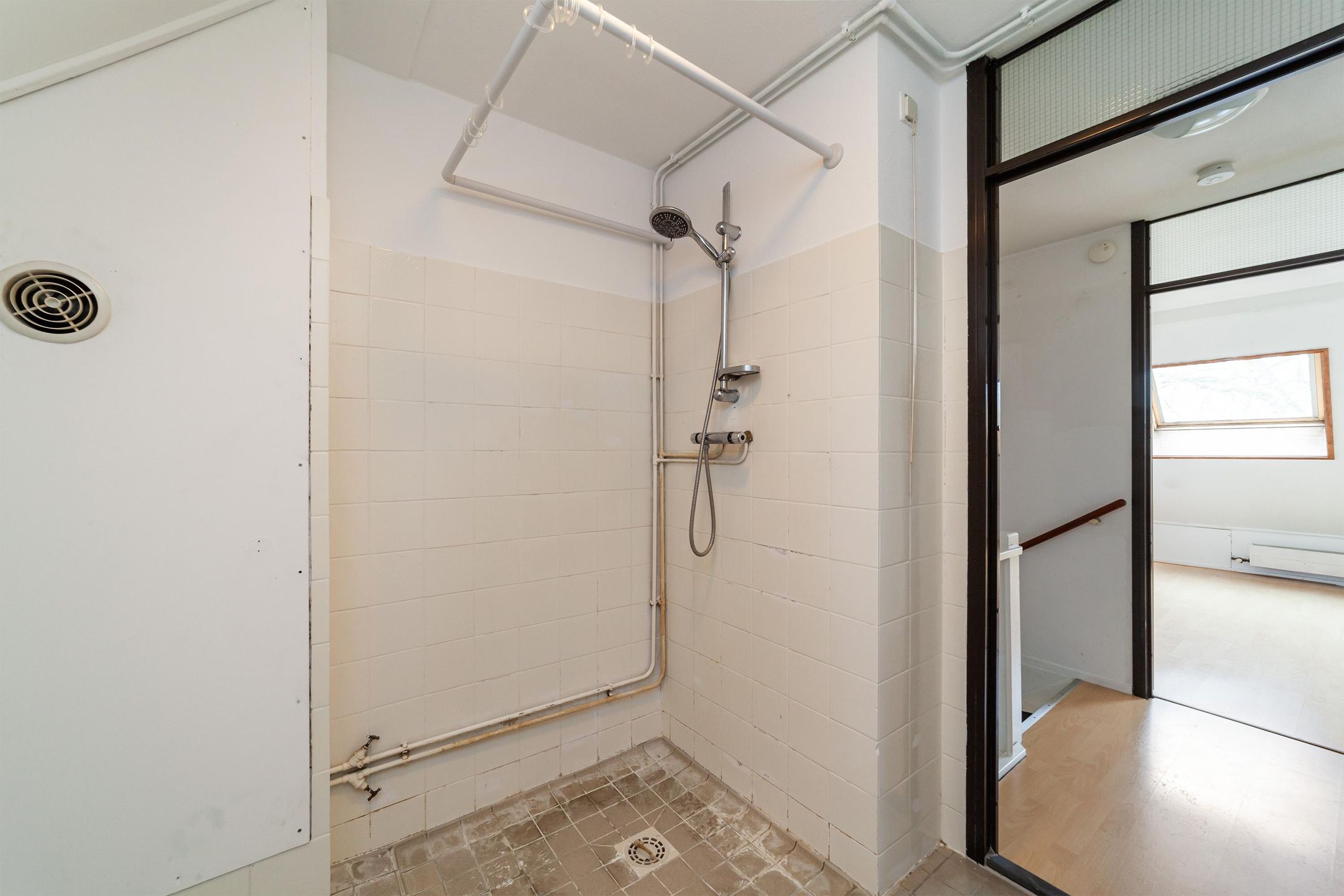 Foto 9 van Goudfazant 17