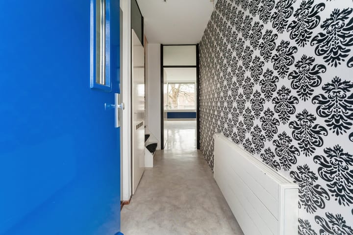 Foto 10 van Goudfazant 17