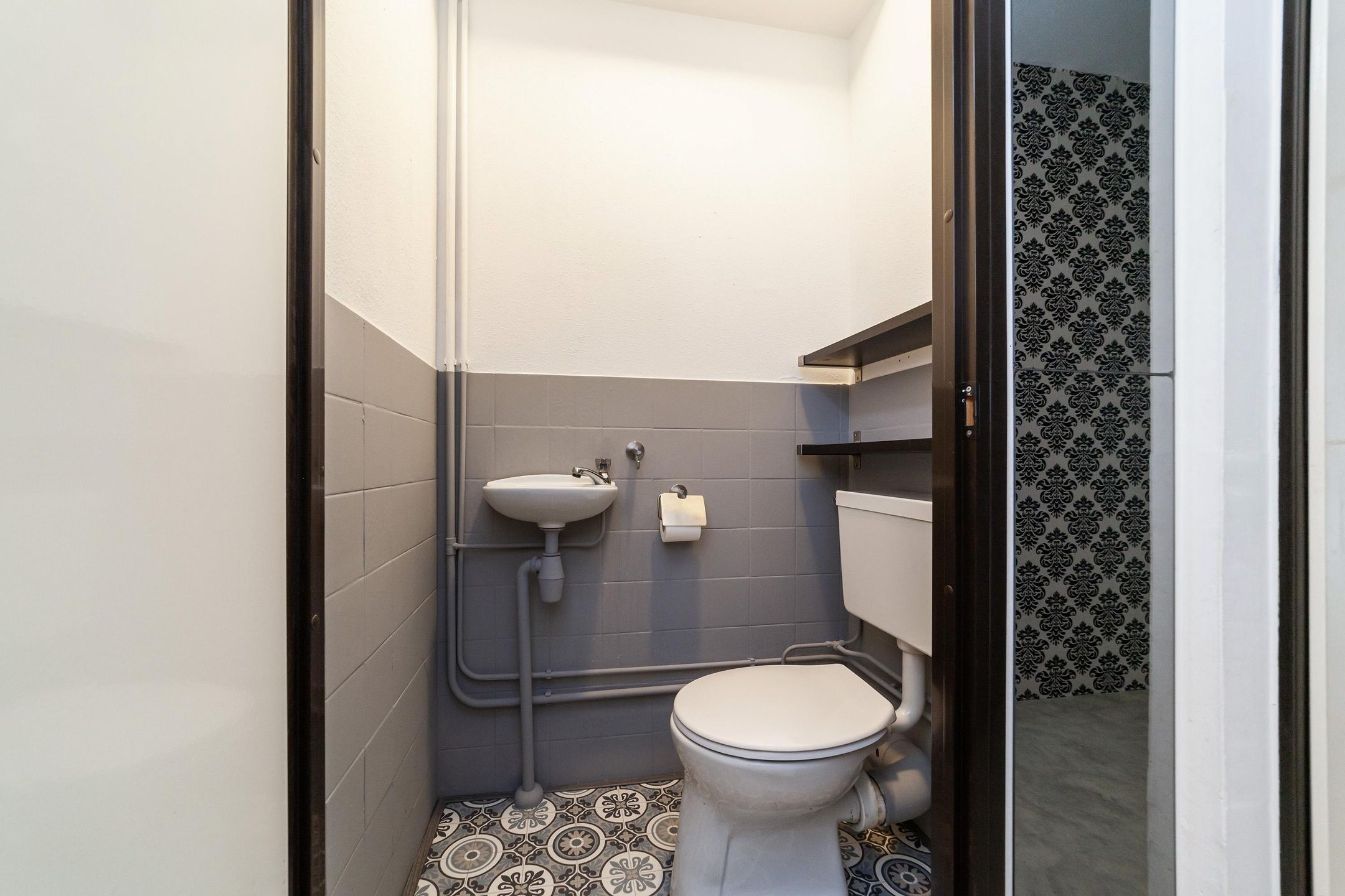 Foto 12 van Goudfazant 17