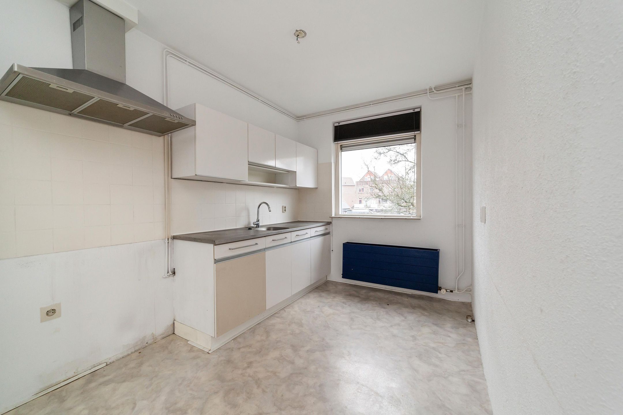 Foto 15 van Goudfazant 17