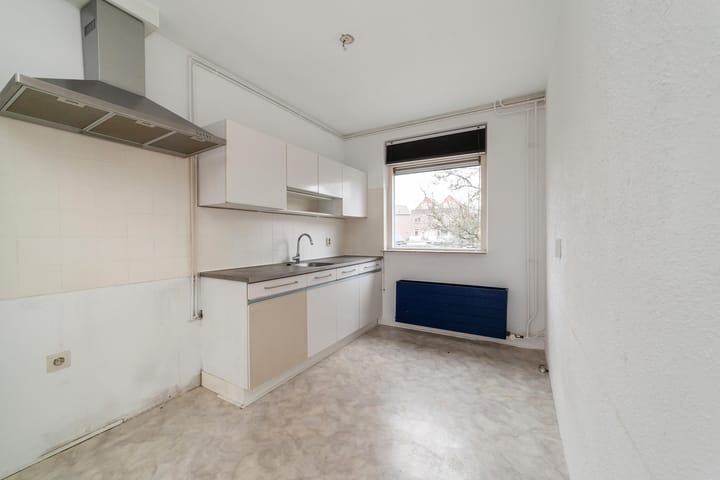 Foto 15 van Goudfazant 17