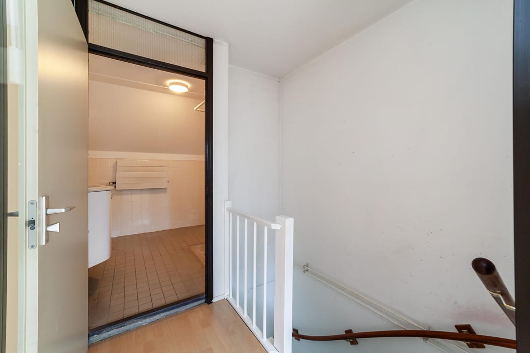 Foto 16 van Goudfazant 17