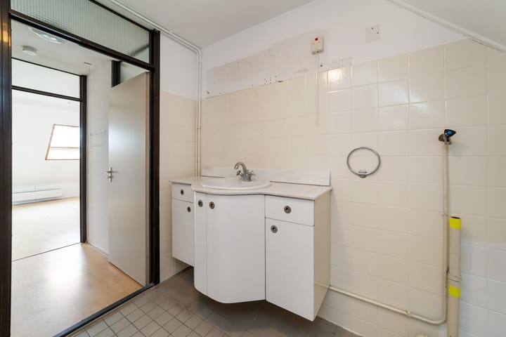 Foto 17 van Goudfazant 17