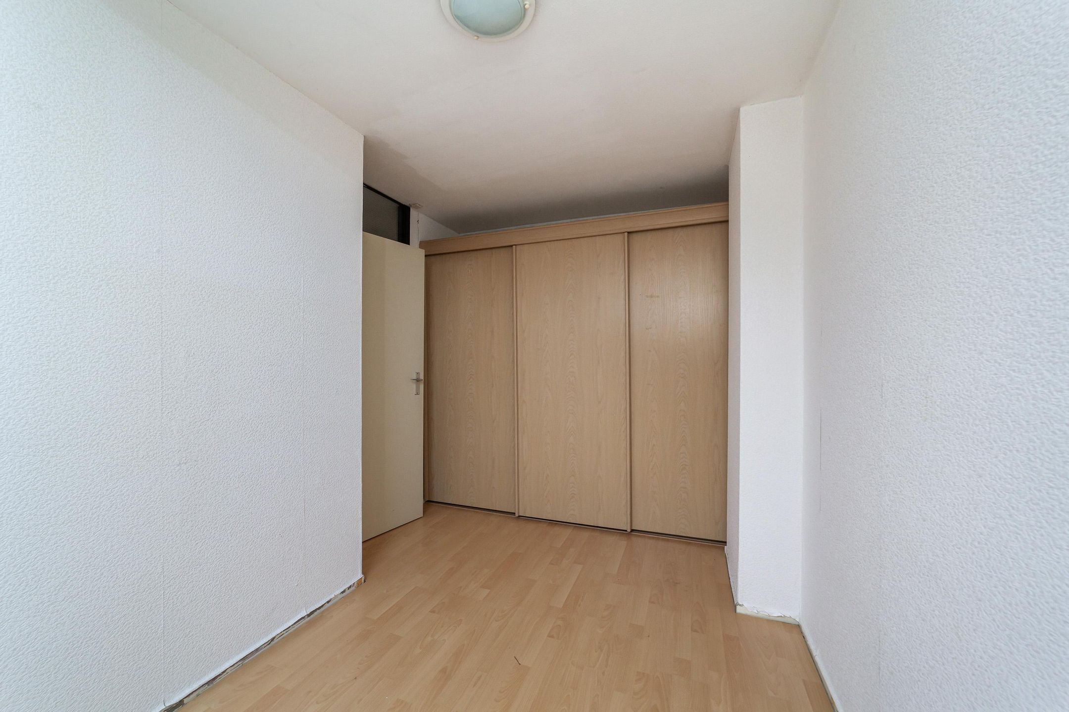 Foto 18 van Goudfazant 17