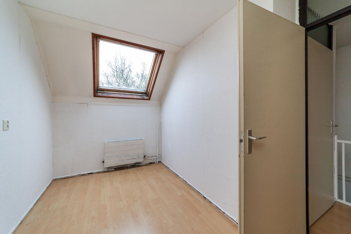 Foto 20 van Goudfazant 17