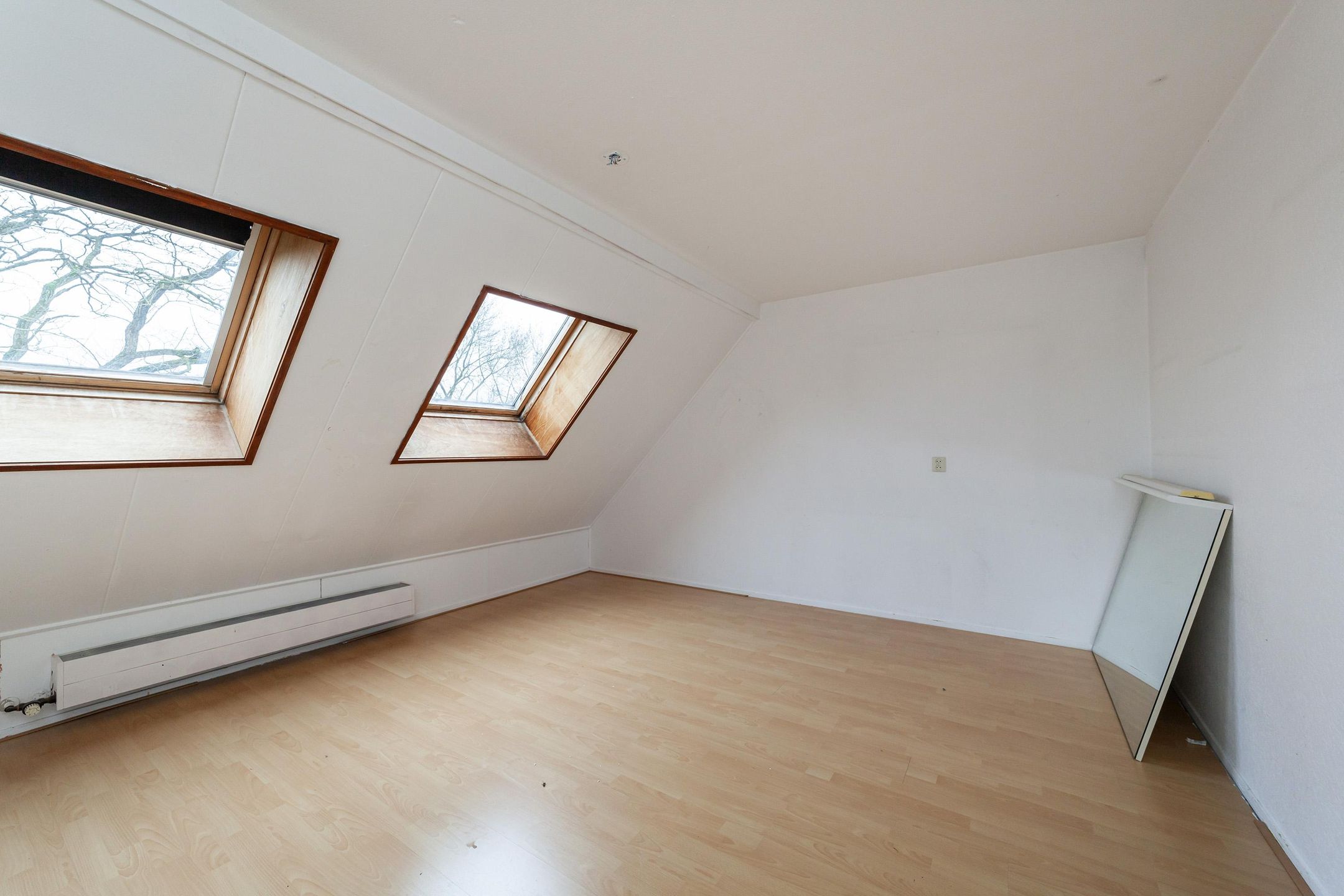 Foto 21 van Goudfazant 17