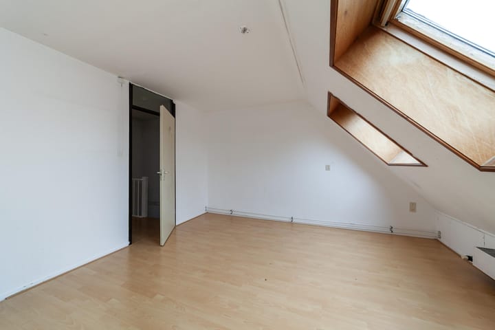 Foto 22 van Goudfazant 17