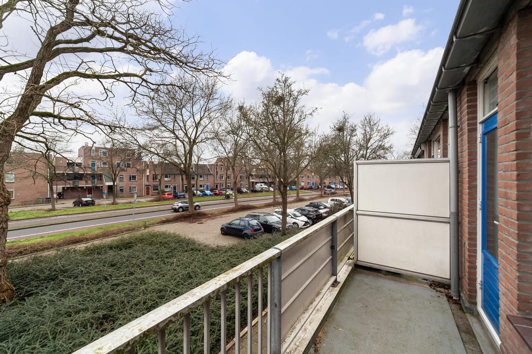 Foto 23 van Goudfazant 17