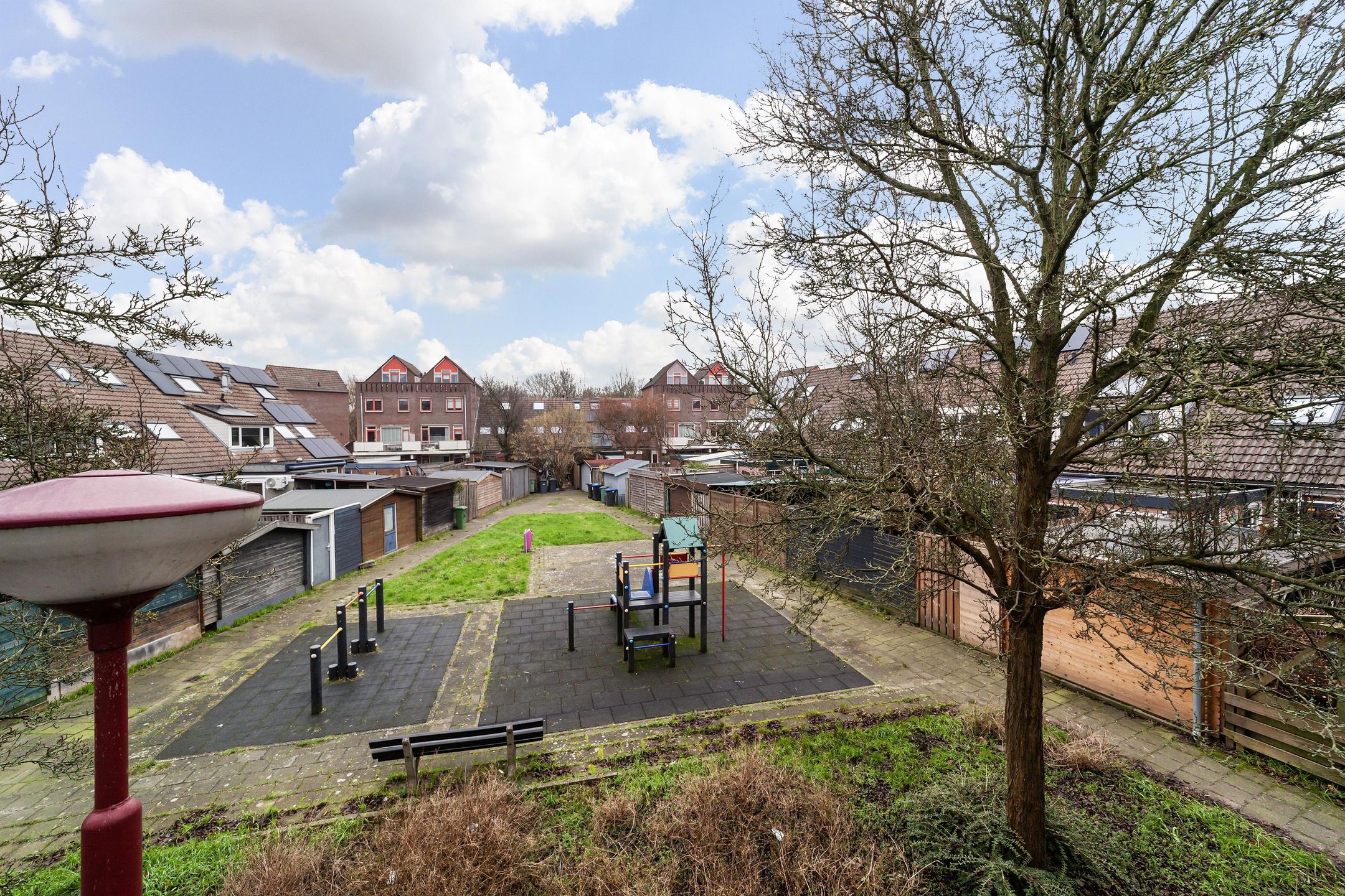 Foto 24 van Goudfazant 17