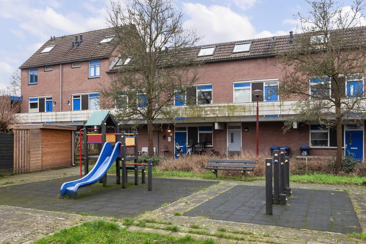 Foto 25 van Goudfazant 17