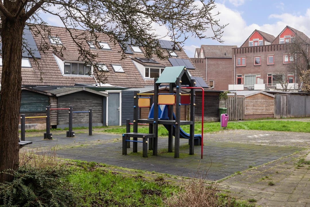 Foto 26 van Goudfazant 17