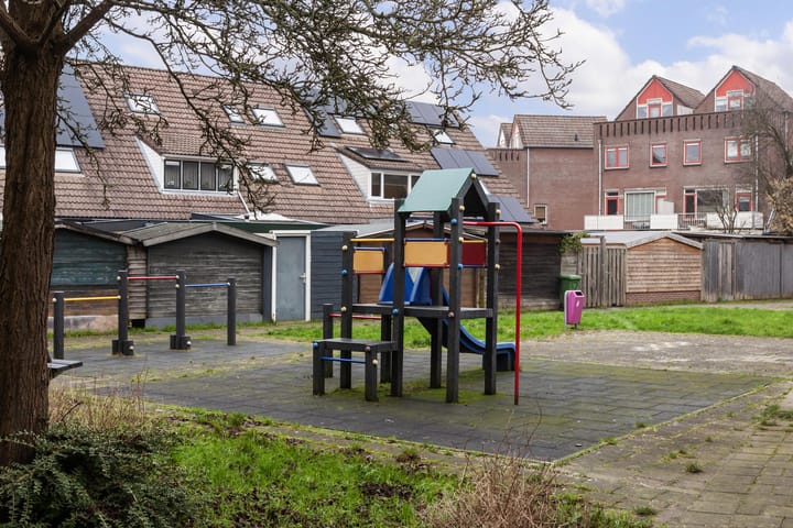 Foto 26 van Goudfazant 17