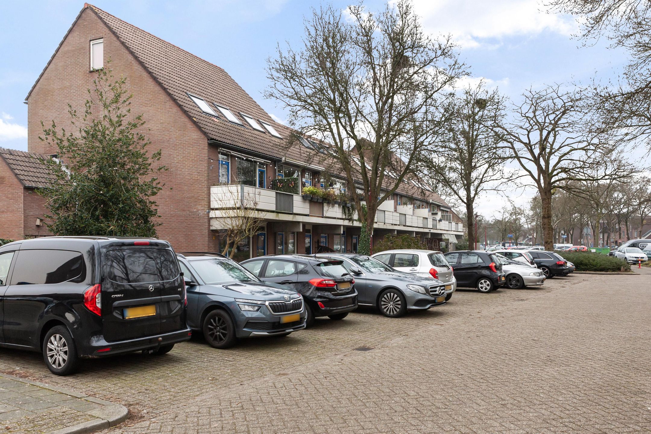 Foto 27 van Goudfazant 17