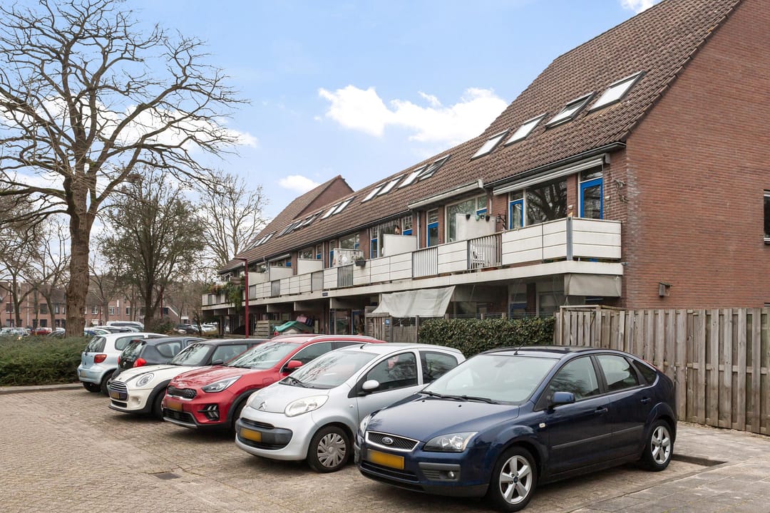 Foto 28 van Goudfazant 17