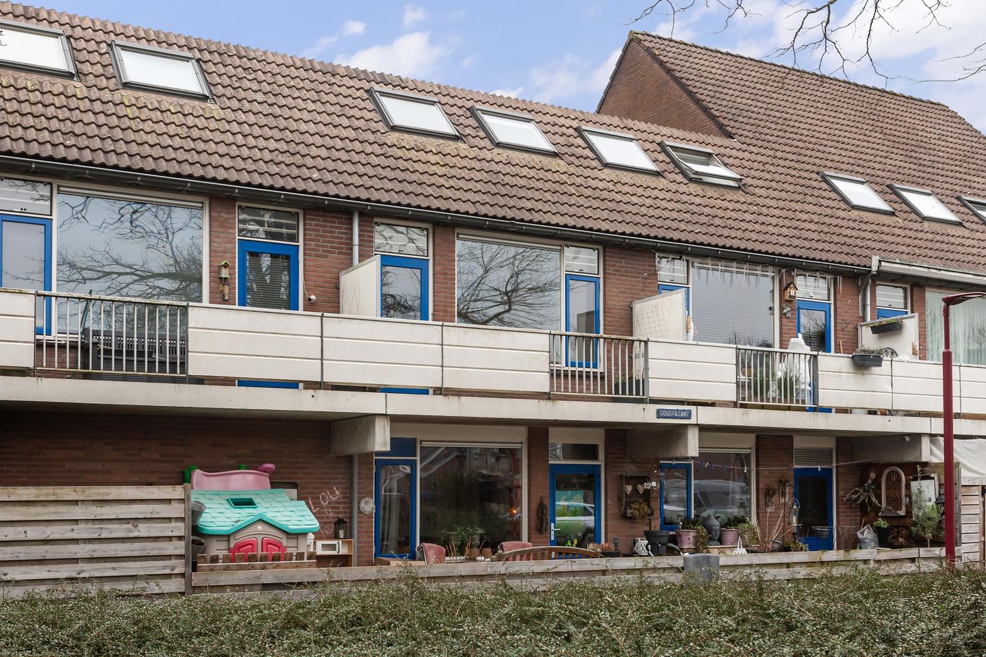 Foto 29 van Goudfazant 17