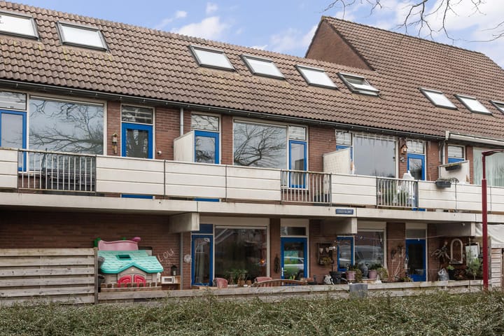 Foto 29 van Goudfazant 17