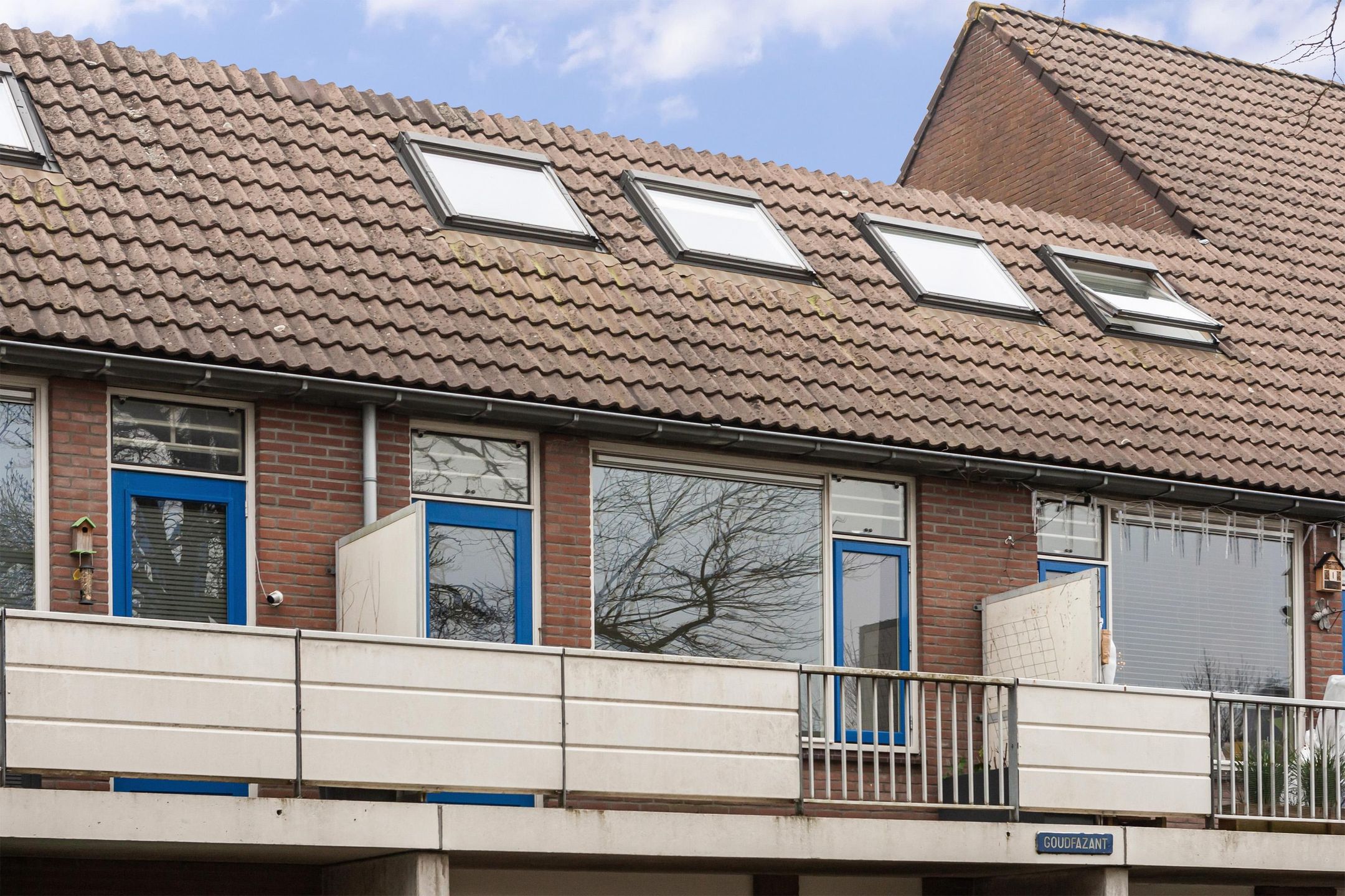 Foto 30 van Goudfazant 17