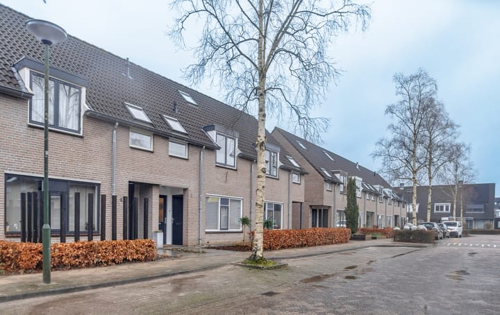 Foto 32 van Kruizemunt 5