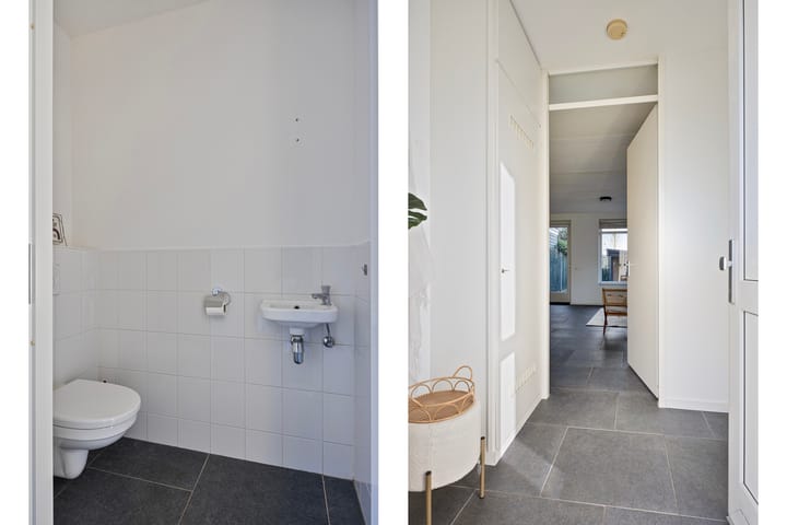 Foto 6 van Kattestart 11