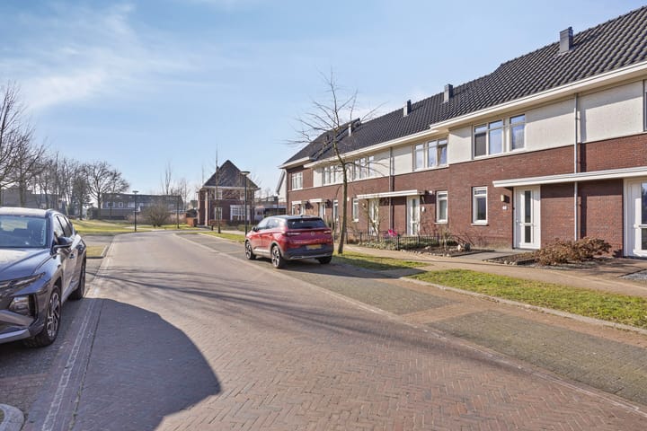 Foto 9 van Kattestart 11