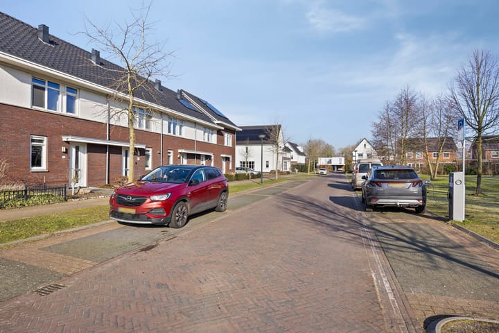 Foto 10 van Kattestart 11