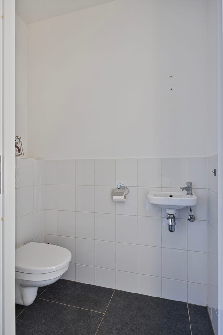 Foto 12 van Kattestart 11