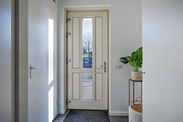 Foto 13 van Kattestart 11