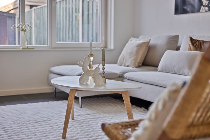 Foto 15 van Kattestart 11