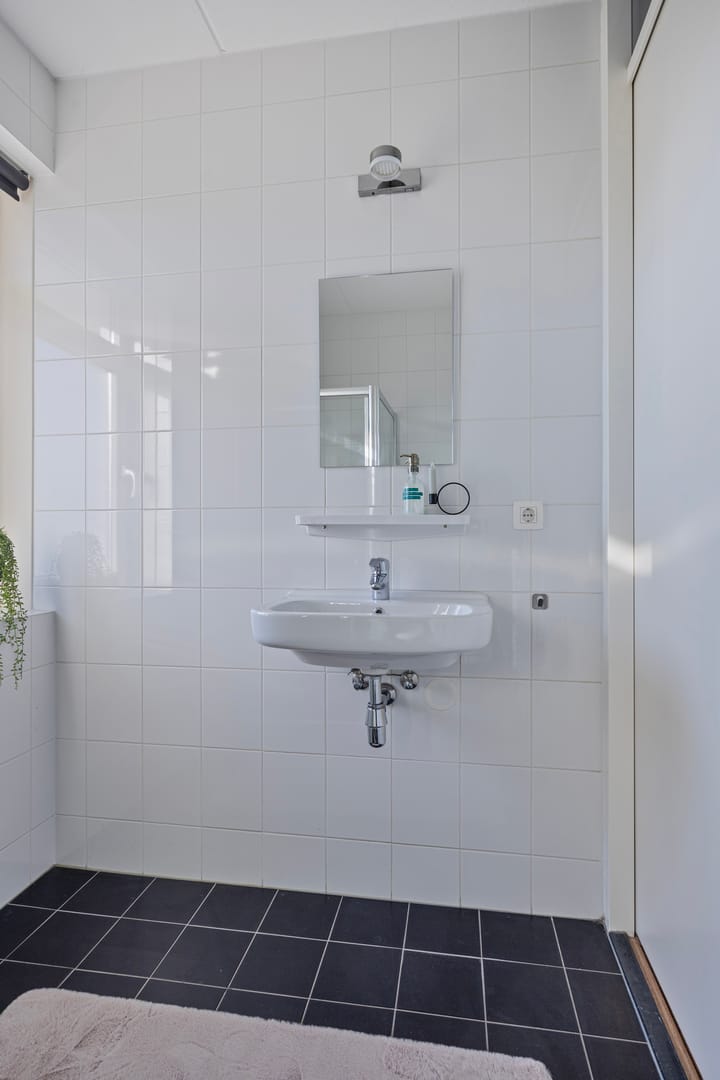 Foto 28 van Kattestart 11