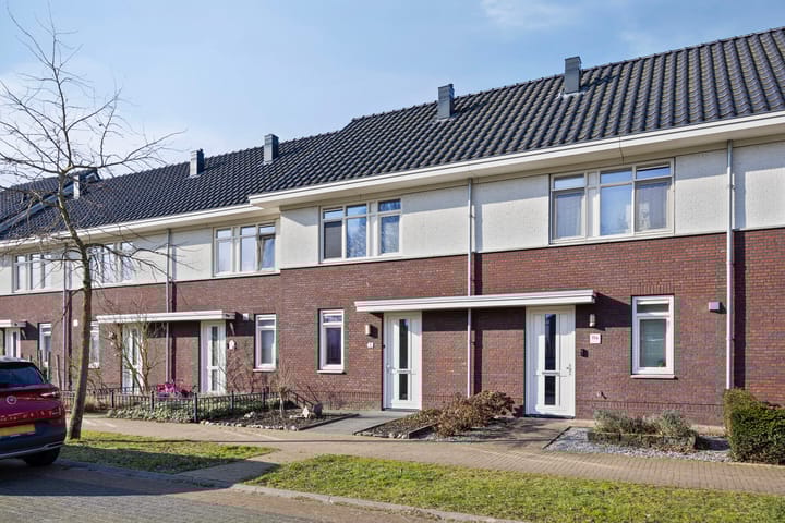 Foto 1 van Kattestart 11