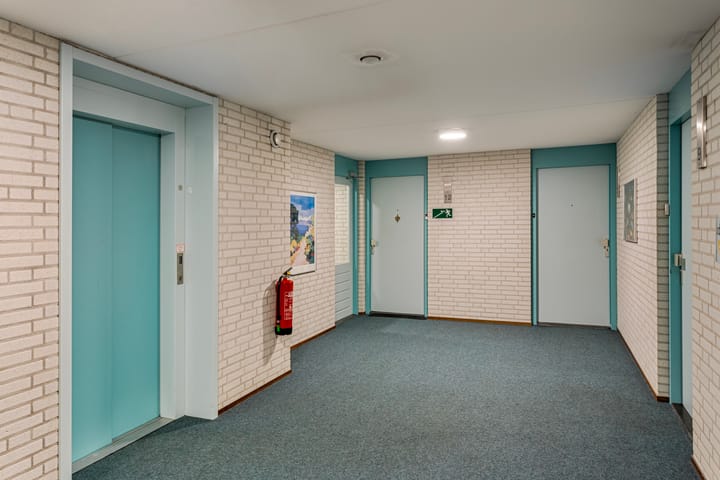 Foto 3 van Symfonie 11