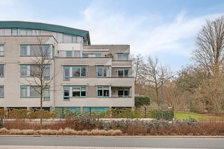 Foto 21 van Symfonie 11