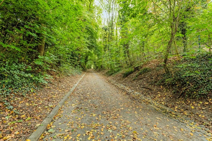 Foto 31 van Felix Ruttenlaan 24