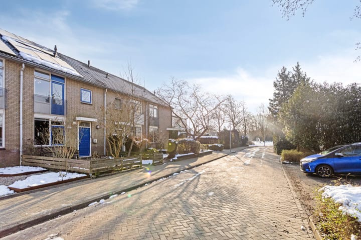 Foto 7 van Pinksterbloem 106