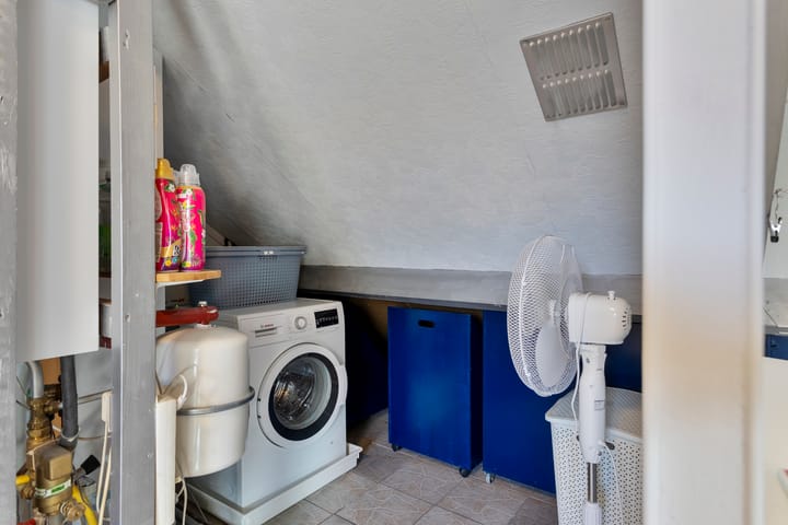 Foto 42 van Pinksterbloem 106