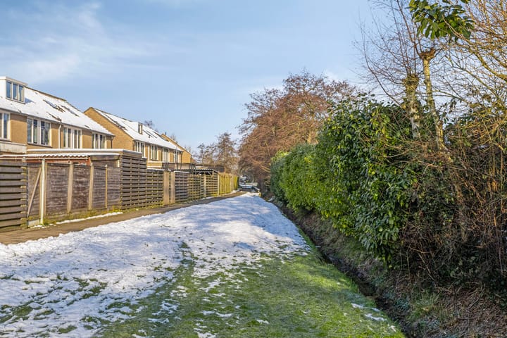 Foto 51 van Pinksterbloem 106