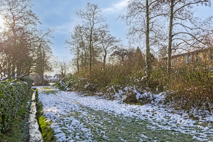 Foto 52 van Pinksterbloem 106