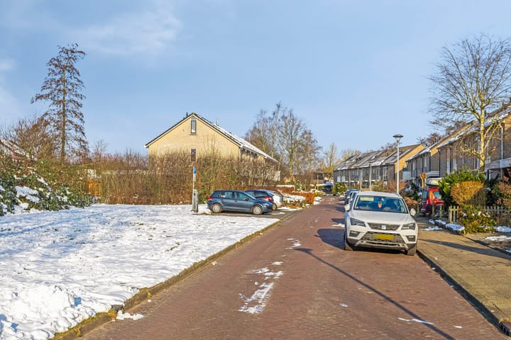 Foto 53 van Pinksterbloem 106