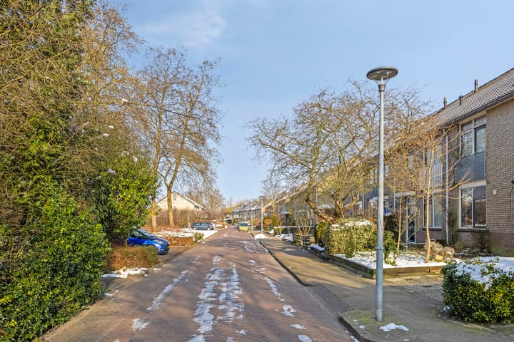 Foto 54 van Pinksterbloem 106